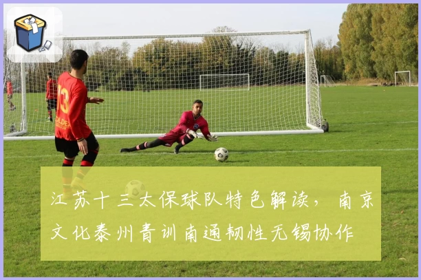 江苏十三太保球队特色解读，南京文化泰州青训南通韧性无锡协作