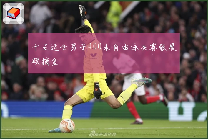十五运会男子400米自由泳决赛张展硕摘金